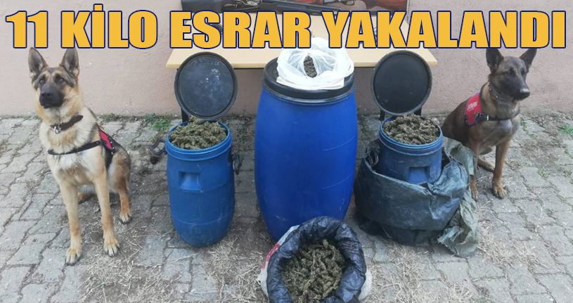 11 kilogram esrar ele geçirildi: 1 gözaltı