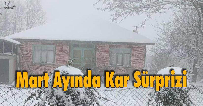 Mart Ayında Kar Sürprizi