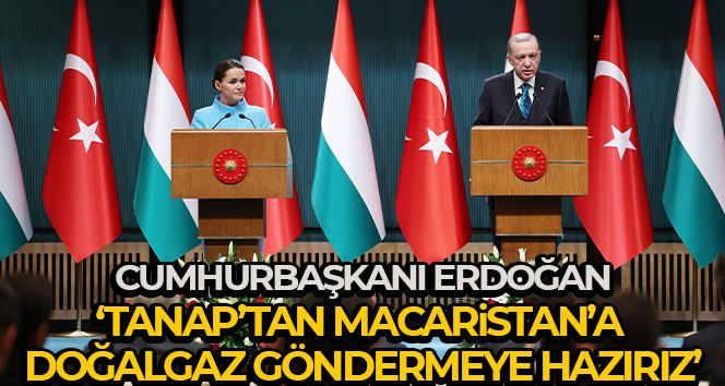 Cumhurbaşkanı Erdoğan: 'TANAP'tan Macaristan'a doğalgaz göndermeye hazırız'