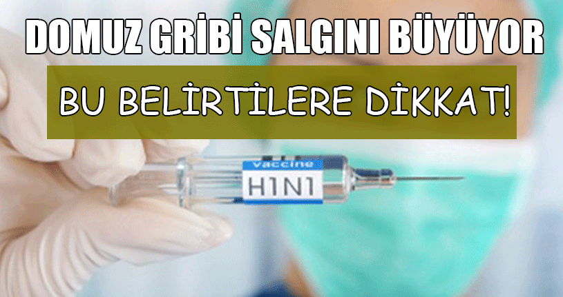 Domuz Gribi Tedavisinde İlk 48 Saat Önemli 