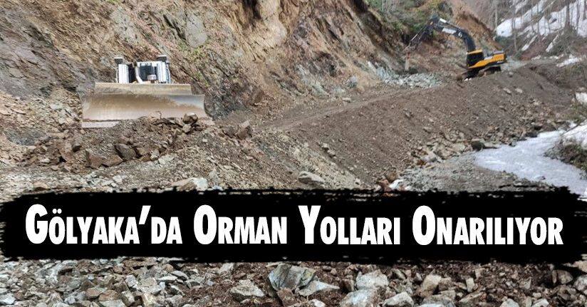 Gölyaka’da Orman Yolları Onarılıyor