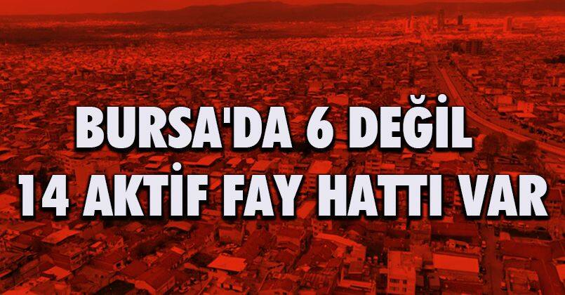 Bursa'da 6 değil 14 aktif fay hattı var