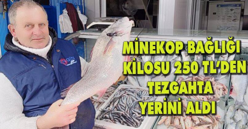 Minekop bağlığı kilosu 250 TL’den tezgahta yerini aldı