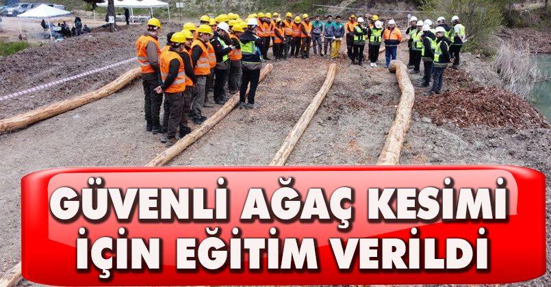 Güvenli ağaç kesimi için eğitim verildi