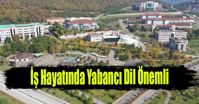 İş Hayatında Yabancı Dil Önemli