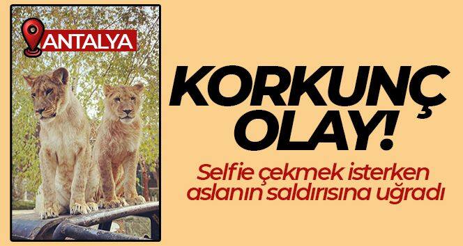 Selfie çekmek isterken aslanın saldırısına uğrayan çocuğu parçalanan saç derisi 1,5 saatte dikildi