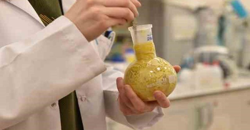 Üniversite laboratuvarlarında geliştirildi: Borlu gıda takviyeleri ile kemik erimesi önlenecek