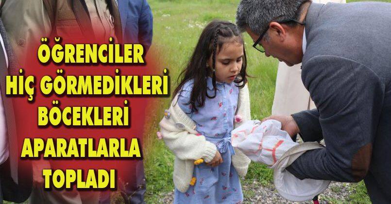 Öğrenciler hiç görmedikleri böcekleri aparatlarla topladı
