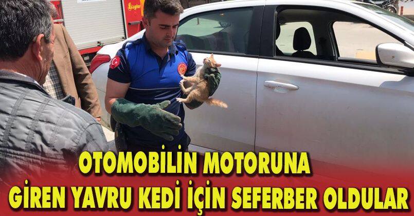 Otomobilin motoruna giren yavru kedi için seferber oldular