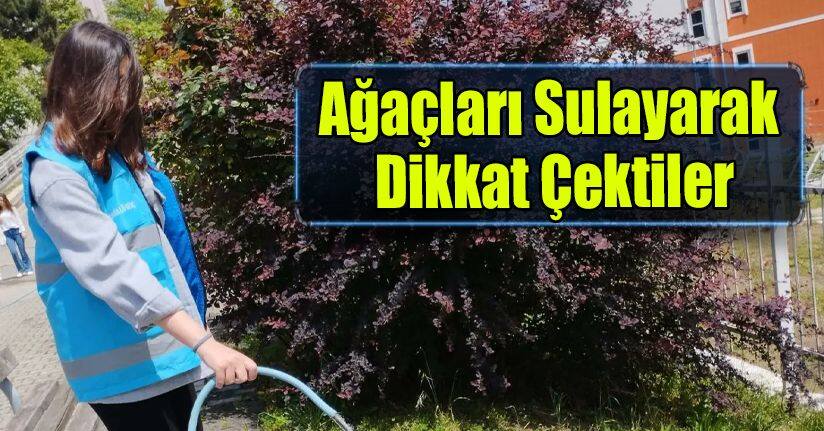 Ağaçları Sulayarak Dikkat Çektiler