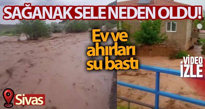 Sağanak sele neden oldu, ev ve ahırları su bastı