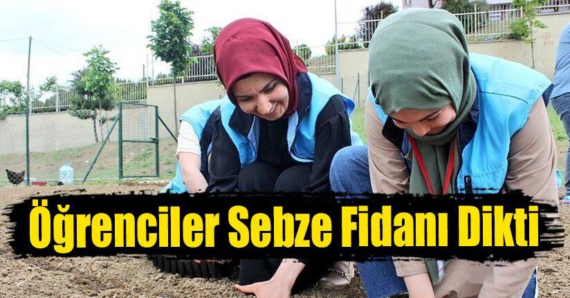 Öğrenciler Sebze Fidanı Dikti