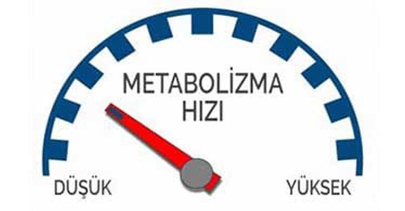 Su içseniz bile yarıyorsa nedeni metabolizma hızınız olabilir