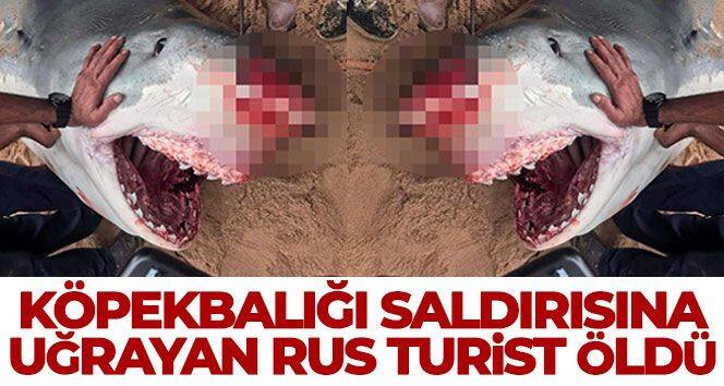 Köpekbalığı saldırısına uğrayan Rus turist öldü