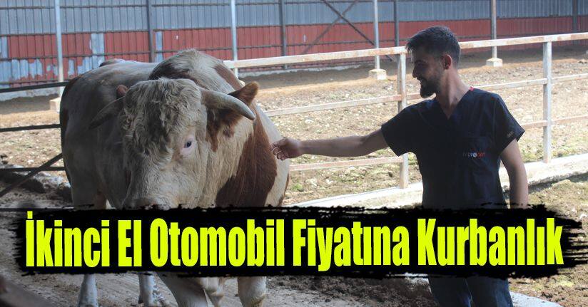 İkinci El Otomobil Fiyatına Kurbanlık