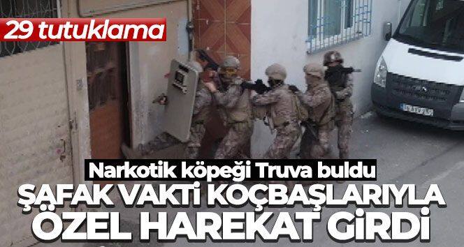 Şafak vakti koçbaşlarıyla özel harekat girdi: 29 tutuklama