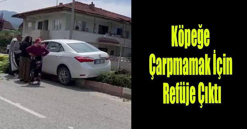 Köpeğe Çarpmamak İçin Refüje Çıktı