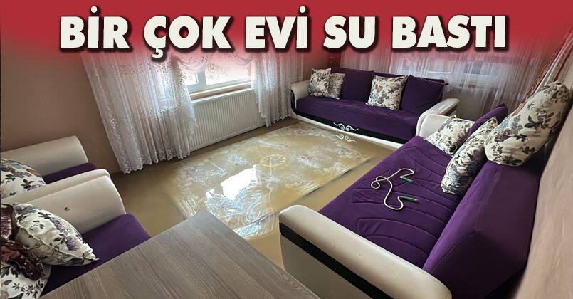  Evde oturan kurt ailesi canlarını zor kurtardı