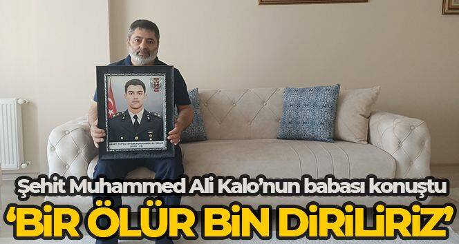 Şehit Muhammed Ali Kalo'nun babası konuştu
