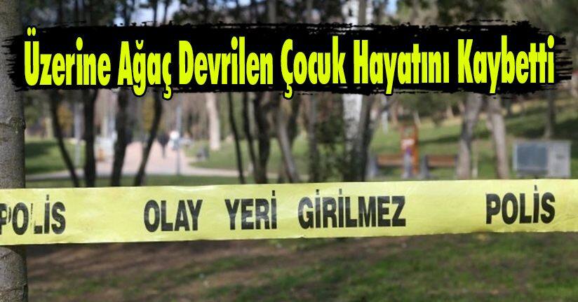 Üzerine Ağaç Devrilen Çocuk Hayatını Kaybetti