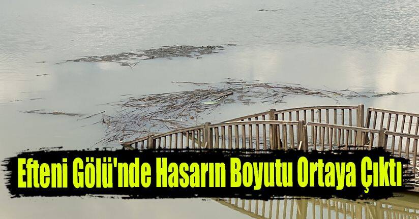 Efteni Gölü'nde Hasarın Boyutu Ortaya Çıktı