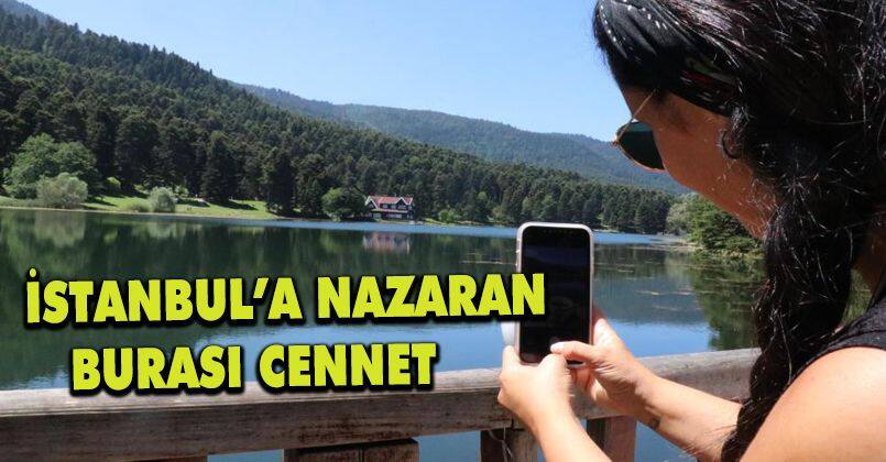 Sıcaktan bunalan vatandaşlar Gölcük Tabiat Parkı'nda serinledi
