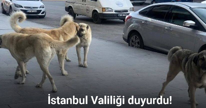 İstanbul Valiliğinden 39 ilçeye 