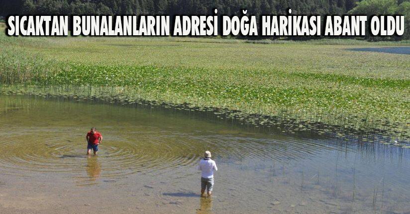 Sıcaktan bunalanların adresi doğa harikası Abant oldu