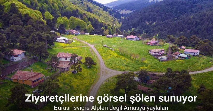 İsviçre Alpleri değil Amasya yaylaları