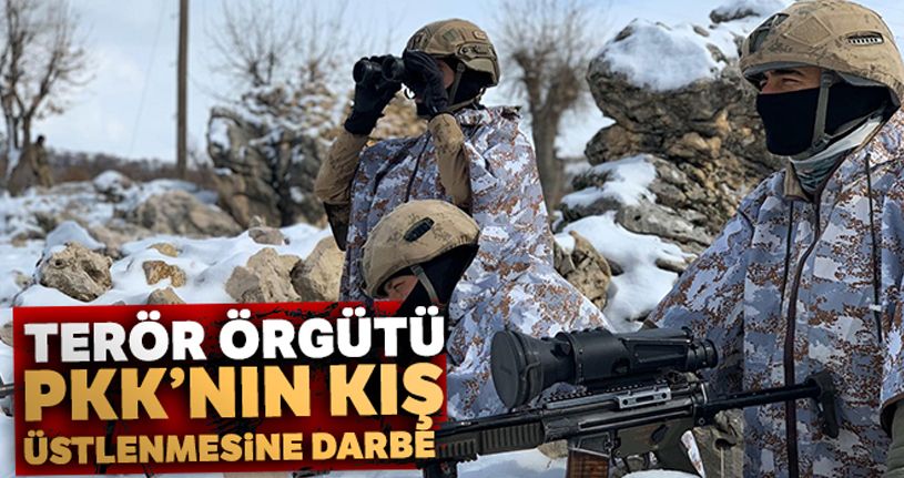 Terör örgütü PKK'nın kış üstlenmesine darbe
