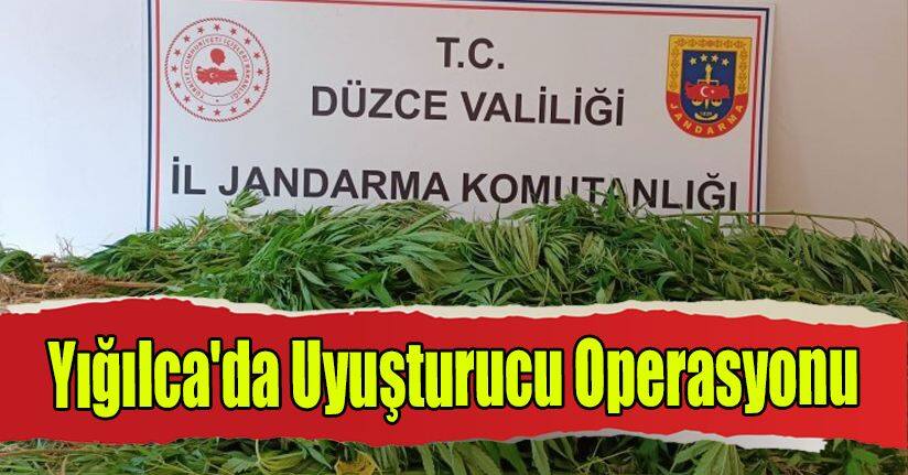 Yığılca'da Uyuşturucu Operasyonu