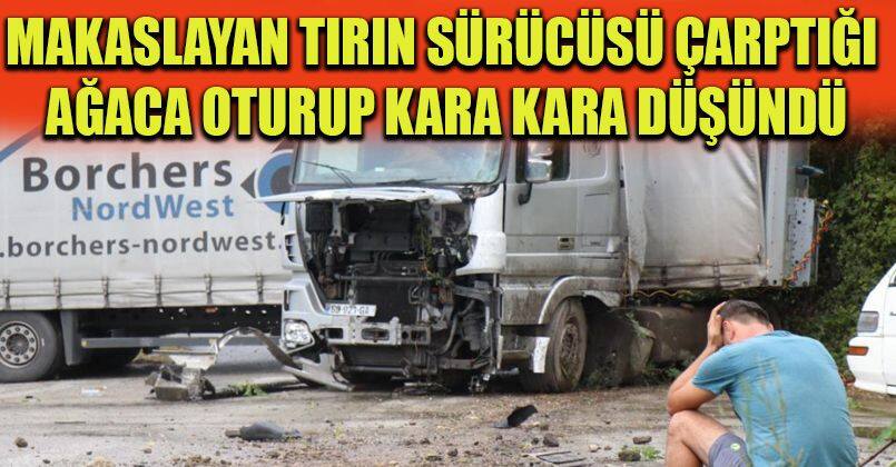 Makaslayan tırın sürücüsü çarptığı ağaca oturup kara kara düşündü