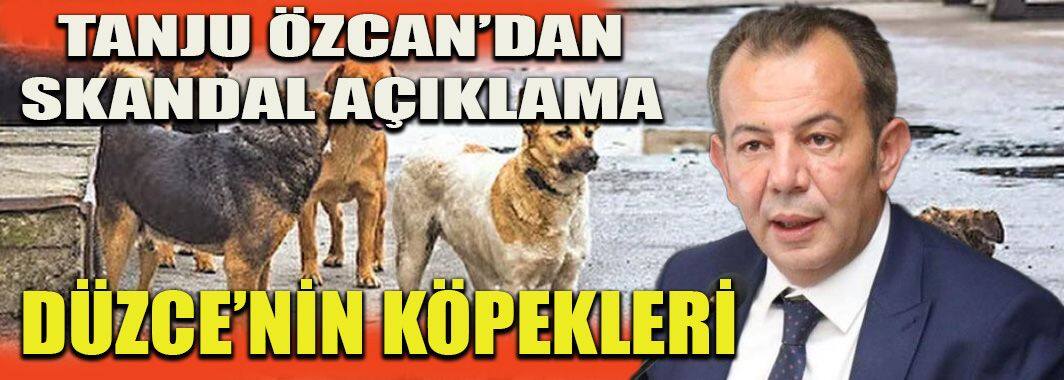 Farklı İllerden Köpek Bırakanlara Milyonluk Cezalar Uygulanacak