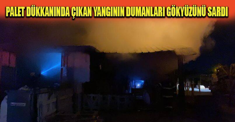 Palet dükkanında çıkan yangının dumanları gökyüzünü sardı