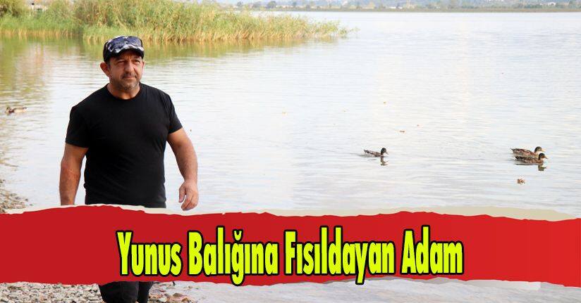 Yunus Balığına Fısıldayan Adam
