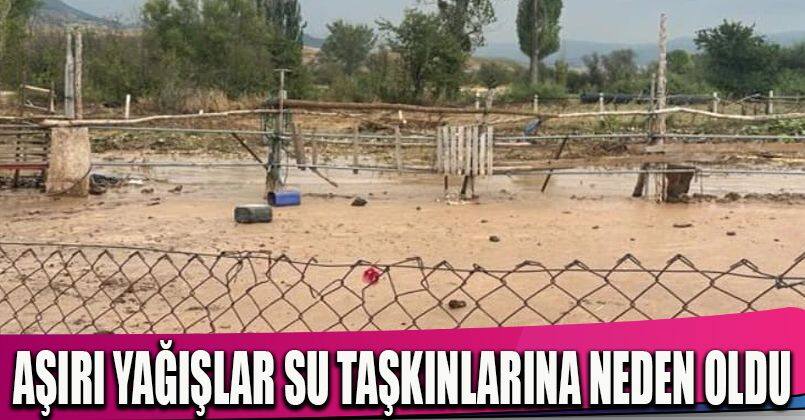 Aşırı yağışlar su taşkınlarına neden oldu