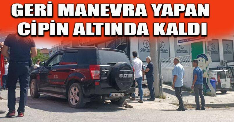 Geri manevra yapan cipin altında kaldı