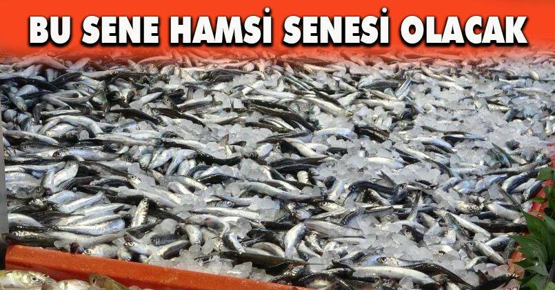 Bolu’da hamsinin fiyatı 40 lira birden düştü