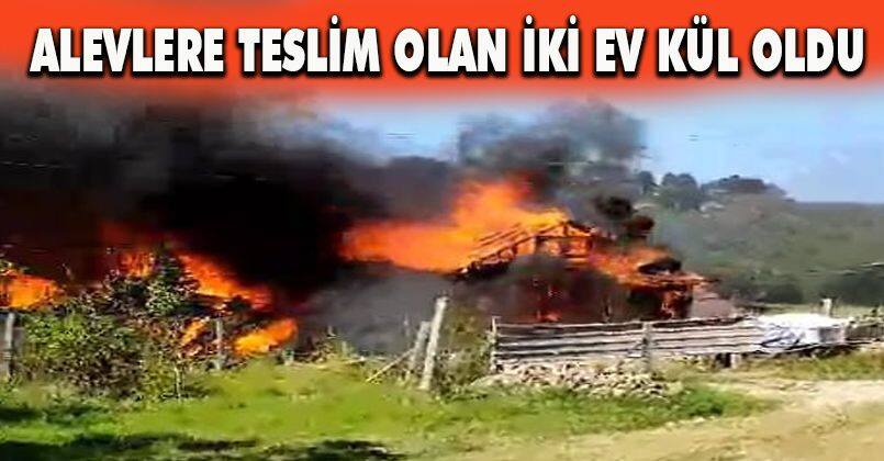 Sakarya'da alevlere teslim olan iki ev kül oldu