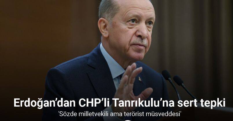 Cumhurbaşkanı Erdoğan'dan CHP'li Sezgin Tanrıkulu'na sert tepki