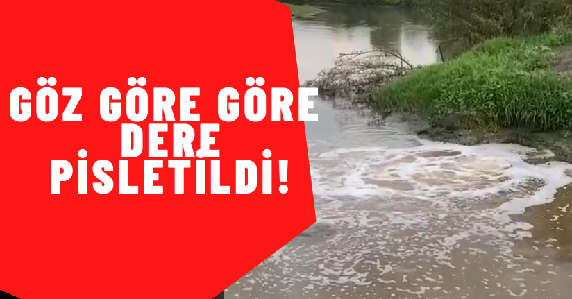 Göz Göre Göre Dere Pisletildi!
