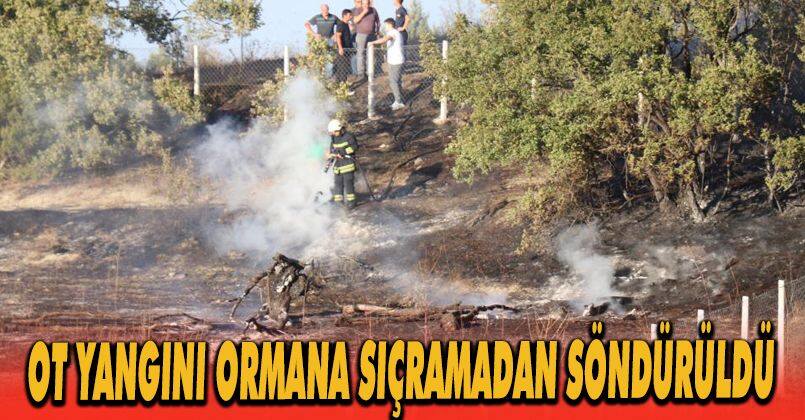 Ot yangını ormana sıçramadan söndürüldü
