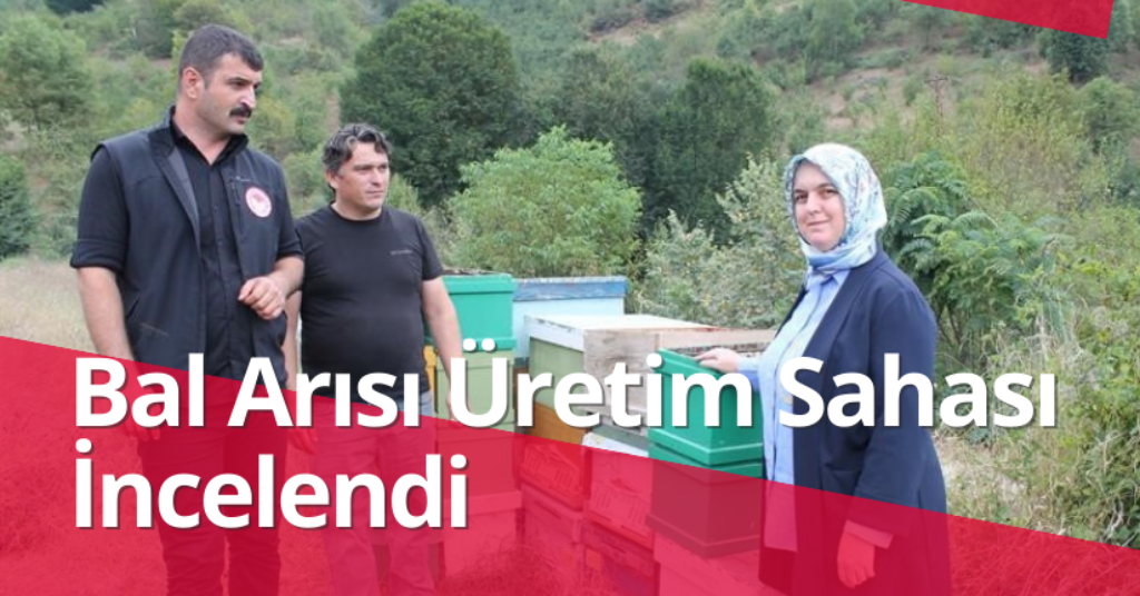 Bal Arısı Üretim Sahası İncelendi