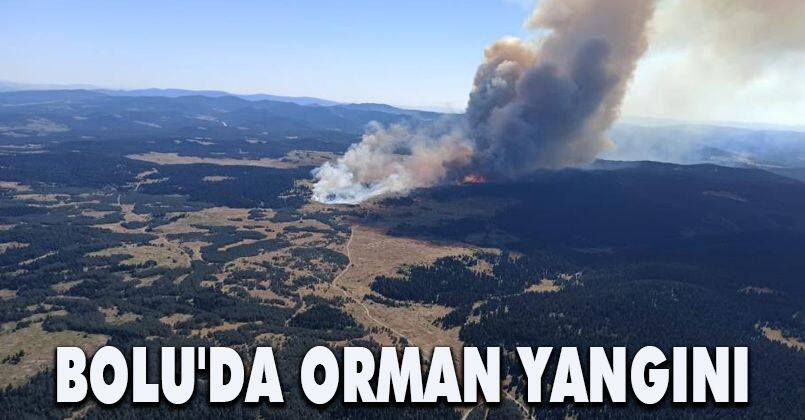 Bolu'da orman yangını