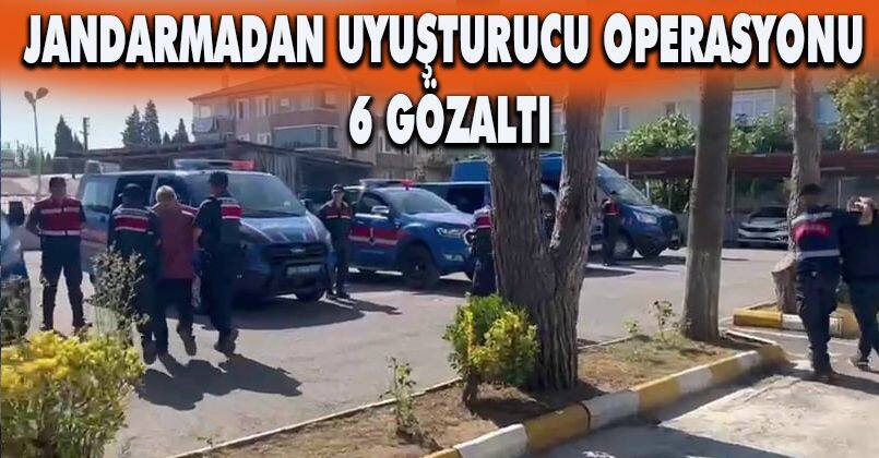 Jandarmadan uyuşturucu operasyonu: 6 gözaltı