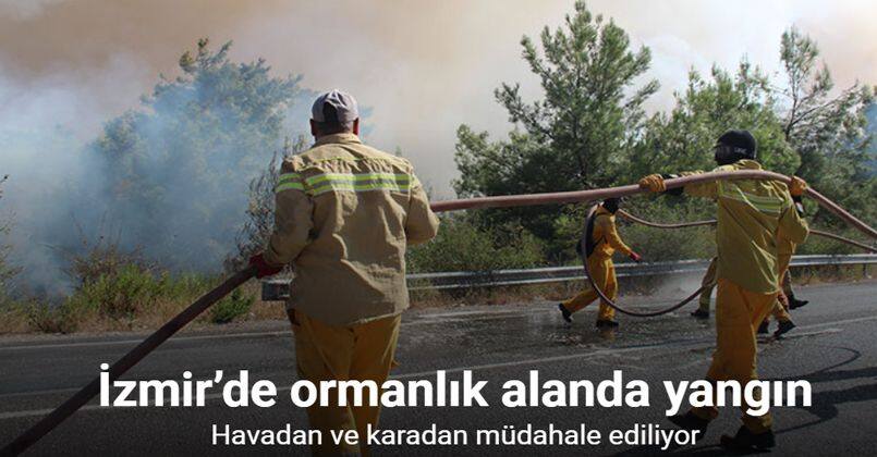 İzmir’de ormanlık alanda yangın
