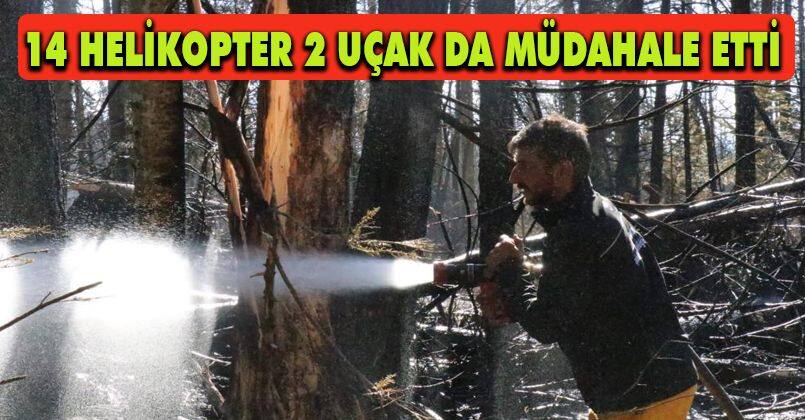 Bolu-Ankara sınırında çıkan orman yangını kontrol altına alındı