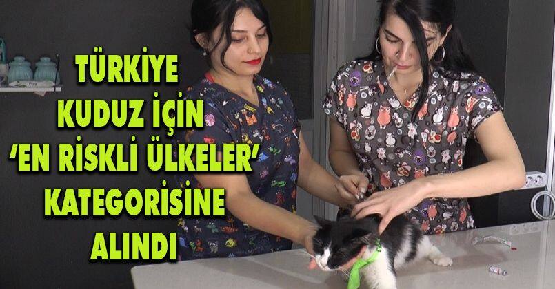 Türkiye kuduz için ‘en riskli ülkeler’ kategorisine alındı