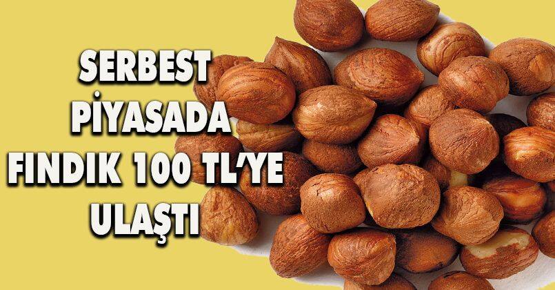 Serbest piyasada fındık 100 TL’ye ulaştı