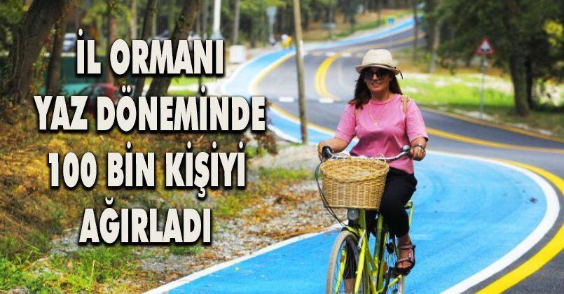 İl Ormanı yaz döneminde 100 bin kişiyi ağırladı